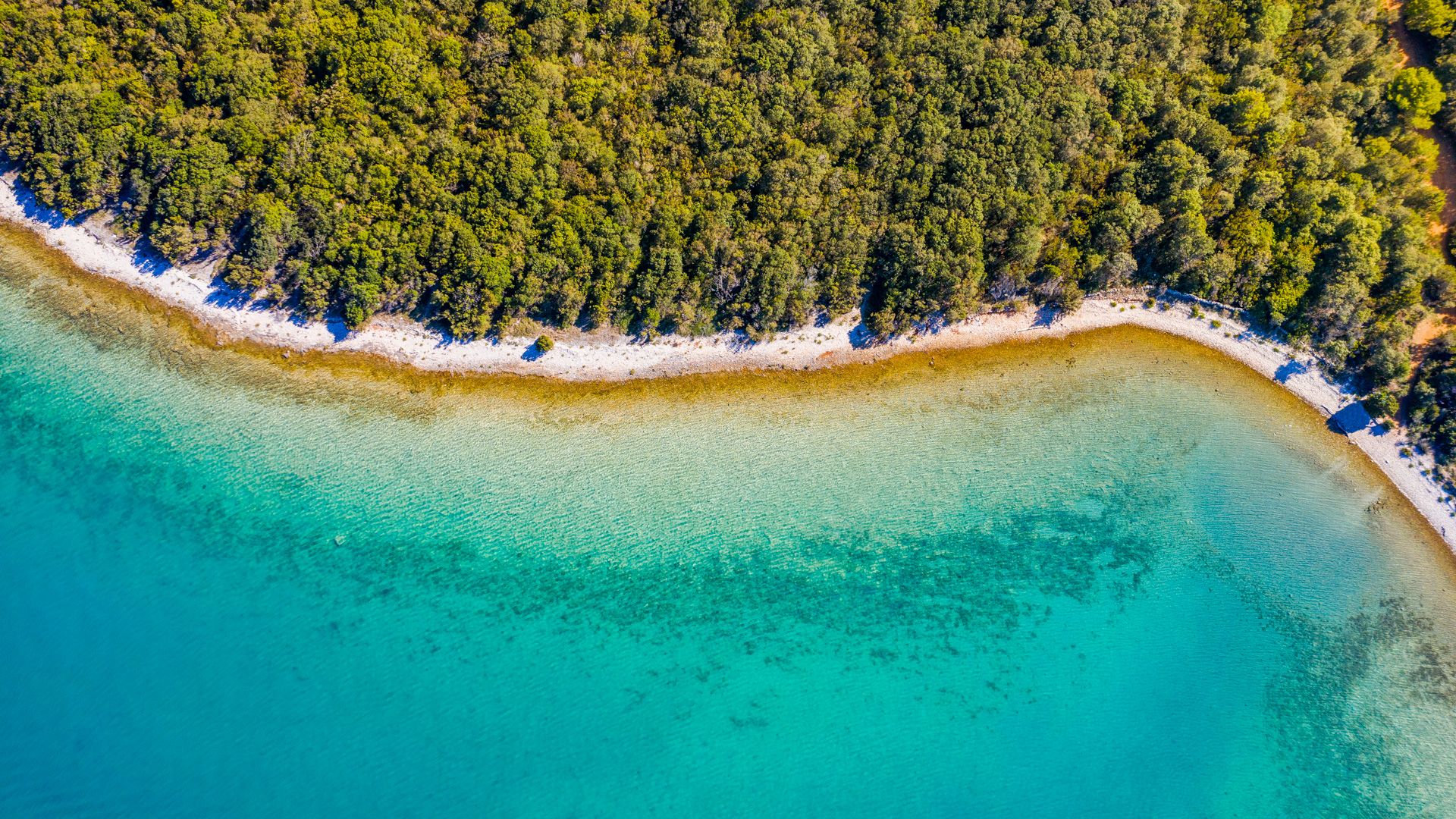 Veli Žal Beach: Nadmorski Klejnot na Dugi Otok